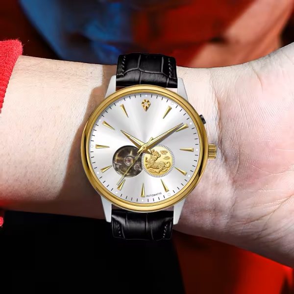 Genuine leather watch automatic fashionable men watch mechanical chinese factory cheap OEM custom made watch - Image 7